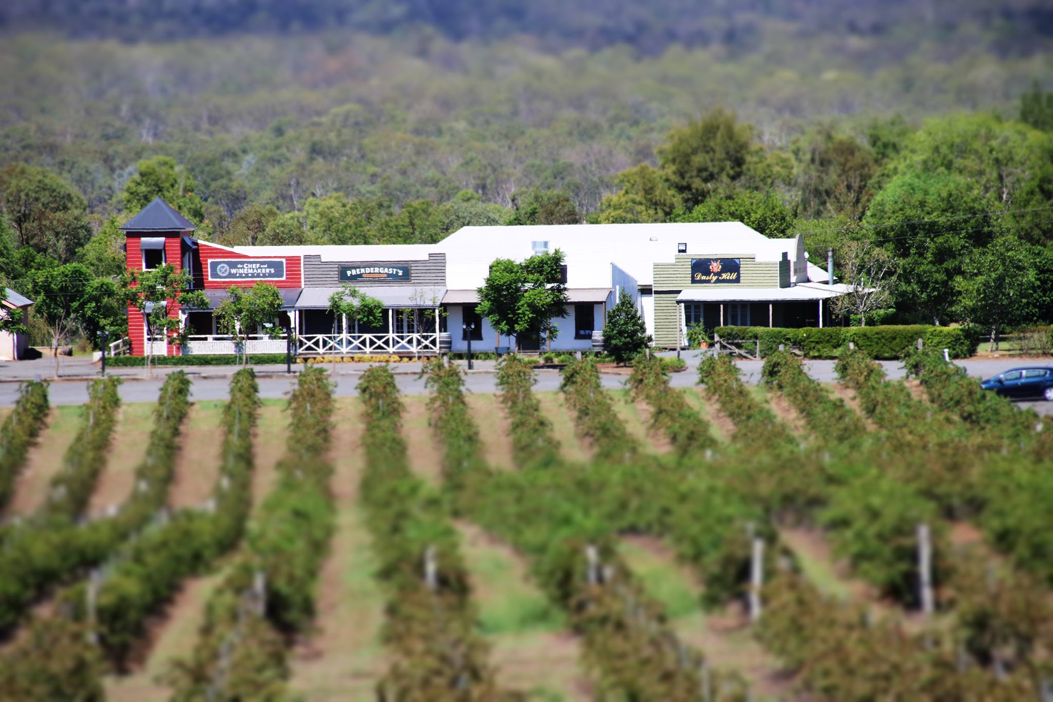 South Burnett Winery and Bistro